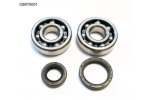 BEARING WORX ložiska klikovky SUZUKI RM 80/85 89-16 (NTN) (24-1014)