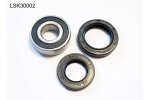 BEARING WORX sada ložiska a gufera do kol (dolní) ATV HONDA TRX 300 93-09 (25-1461)