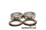 BEARING WORX ložiska řízení HONDA FCS 600 02-13, VTR 1000 R SP-1 00-01, GL 1800 GOLD WING 01-17, VT 1300 C/CX 10-18 (22-1037)