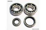 BEARING WORX ložiska klikovky YAMAHA YZ 250 88-97 (NTN) (24-1027)