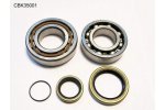 BEARING WORX ložiska klikovky KTM SX/EXC 250/300 04-19, FREERIDE 250R 14-17, HUSQVARNA TE/TC 250/300 14-19, HUSABERG TE250/300 11-14 = CBK60005