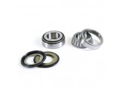 PROX ložiska řízení HONDA CRM 125R 93-99 NX 125 95-97 KAWASAKI KX 65 00-09 KX 80/85 86-20, ložiska přepákování HONDA GL 1800 (22-1022)