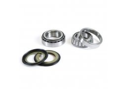 PROX ložiska řízení HUSQVARNA CR 125 99-09, WR 125 08-09, CR 250 99-04, TC 250 03-09, TE 250 / WR 250 08-13 (22-1061)