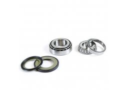 PROX ložiska řízení SUZUKI DR 125 86-88 DR 250 82-85 DR 650SE 90-91 RM 125 81-86 RM 250 81-86 RM 465 81-82 RM (22-1019)