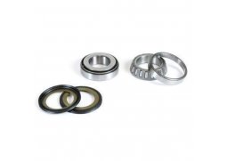 PROX ložiska řízení SUZUKI RM 125 79-80, RM 250 79-80, YAMAHA XV 535 VIRAGO, XJ 600 84-91, XS, XV 125/250 (22-1007)
