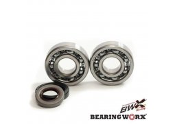 BEARING WORX ložiska klikové hřídele s těsněním GAS GAS EC 125 10- (MADE IN JAPAN) (NTN)