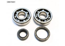 BEARING WORX ložiska klikovky SUZUKI RM 80/85 89-16 (NTN) (24-1014)