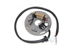 ELECTROSPORT Stator (vinutí) alternátoru YAMAHA YZ 250 90-95, WR 250 90-97