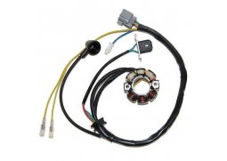 ELECTROSPORT Stator (vinutí) alternátoru KAWASAKI KX 250F 04, SUZUKI RM-Z 250 04 (s impulzátorem) (50W) s kabelem na světla