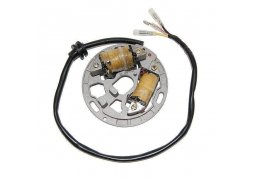 ELECTROSPORT Stator (vinutí) alternátoru KAWASAKI KDX 200 (89-05), KDX 220R (97-05) s kabelem na světla