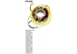 ELECTROSPORT Stator (vinutí) alternátoru GAS GAS 125/200/250/300 97-11 s kabelem na světla