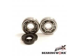 BEARING WORX ložiska klikové hřídele s těsněním KTM SX 65 09-17 (MADE IN JAPAN) (NTN) (24-1103)