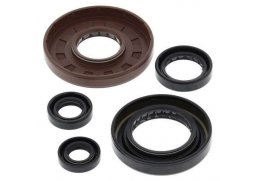 Winderosa sada gufer motoru Honda TRX500FM 05-11, TRX500FPM 08-11, TRX500TM 05-06