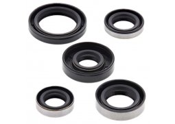 Winderosa sada gufer motoru Kawasaki KLX110 02-20, KLX110L 10-20, Suzuki DRZ110 03-06