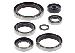 Winderosa sada gufer motoru KTM EXC 300 94-03, EXC 360 96-97, EXC 380 98-02, MXC 300 94-03, MXC 360 96-97, MXC 380 98-01, SX 300 94, SX 360 96-97, SX 380 98-02