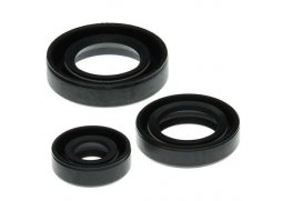 Winderosa sada gufer motoru Kawasaki KLF400 Bayou 93-99