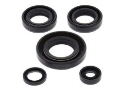 Winderosa sada gufer motoru Kawasaki KFX50 03-06, Suzuki LT-A50 02-05