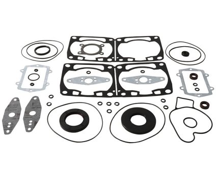 Winderosa sada těsnění motoru (s olejovým těsněním) Arctic Cat ZR 6000 Carb 14-16